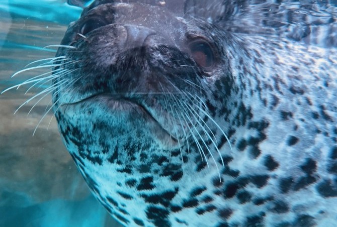 GWはいかがお過ごしでしたか？